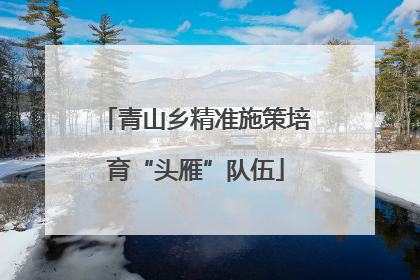青山乡精准施策培育“头雁”队伍