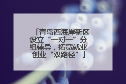 青岛西海岸新区设立“一对一”分组辅导，拓宽就业创业“双路径”