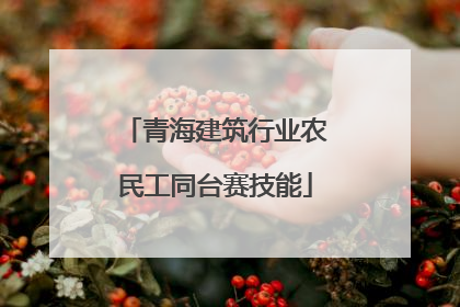 青海建筑行业农民工同台赛技能