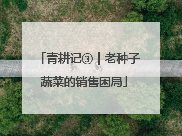 青耕记③｜老种子蔬菜的销售困局