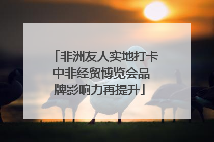 非洲友人实地打卡 中非经贸博览会品牌影响力再提升