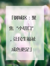 钢城区：聚焦“小切口”，让民生福祉成色更足