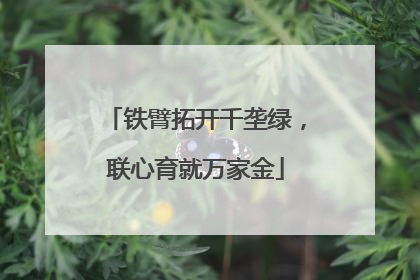铁臂拓开千垄绿，联心育就万家金