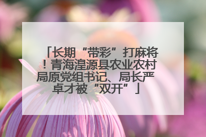 长期“带彩”打麻将！青海湟源县农业农村局原党组书记、局长严卓才被“双开”