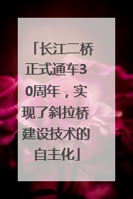 长江二桥正式通车30周年，实现了斜拉桥建设技术的自主化