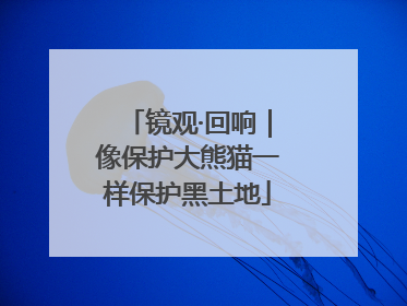 镜观·回响｜像保护大熊猫一样保护黑土地
