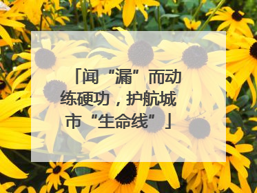 闻“漏”而动练硬功，护航城市“生命线”