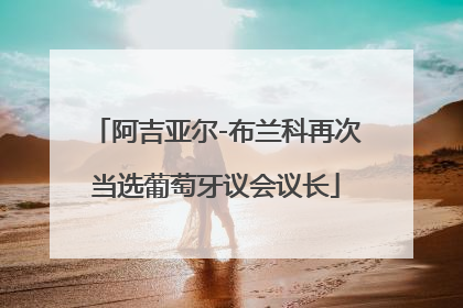 阿吉亚尔-布兰科再次当选葡萄牙议会议长
