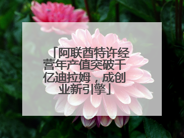 阿联酋特许经营年产值突破千亿迪拉姆，成创业新引擎