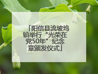 阳信县流坡坞镇举行“光荣在党50年”纪念章颁发仪式
