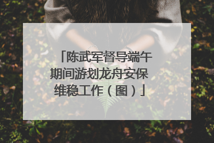 陈武军督导端午期间游划龙舟安保维稳工作（图）