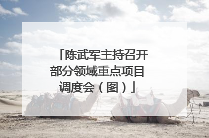 陈武军主持召开部分领域重点项目调度会（图）