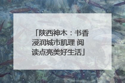 陕西神木：书香浸润城市肌理 阅读点亮美好生活