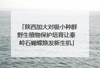 陕西加大对极小种群野生植物保护培育让秦岭石蝴蝶焕发新生机