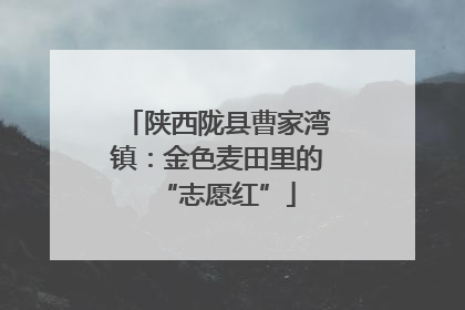 陕西陇县曹家湾镇：金色麦田里的“志愿红”