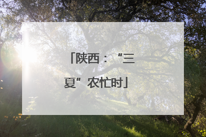 陕西：“三夏”农忙时