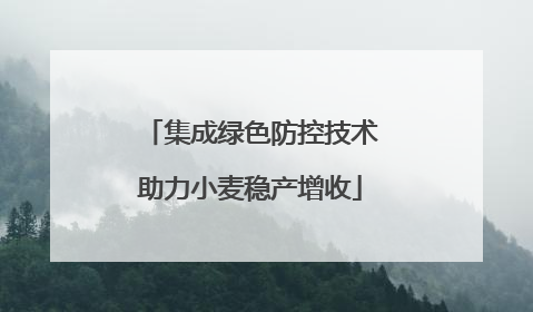 集成绿色防控技术助力小麦稳产增收