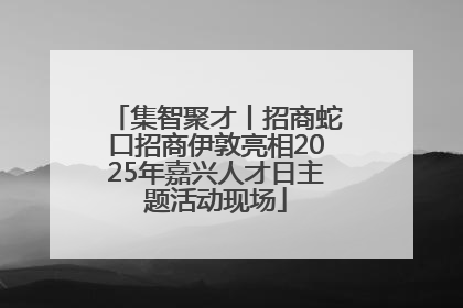 集智聚才丨招商蛇口招商伊敦亮相2025年嘉兴人才日主题活动现场