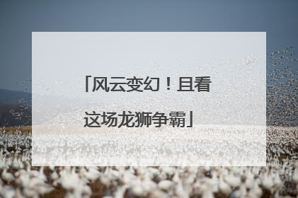 风云变幻！且看这场龙狮争霸