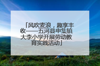 风吹麦浪，趣享丰收——五河县申集镇大李小学开展劳动教育实践活动