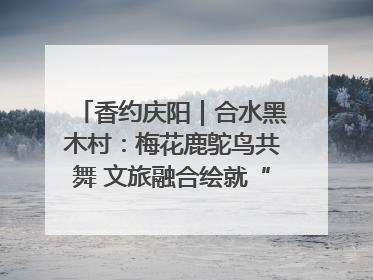 香约庆阳｜合水黑木村：梅花鹿鸵鸟共舞 文旅融合绘就“诗与远方”