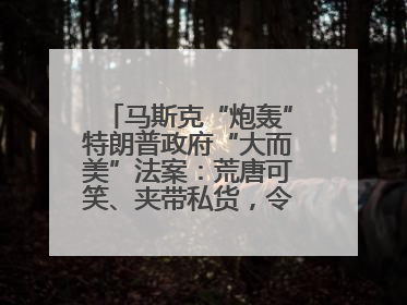 马斯克“炮轰”特朗普政府“大而美”法案：荒唐可笑、夹带私货，令人作呕