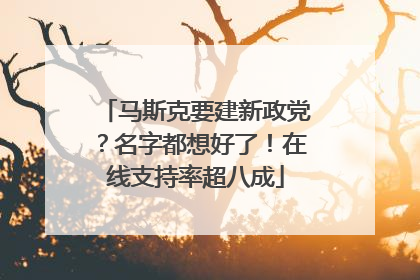 马斯克要建新政党？名字都想好了！在线支持率超八成