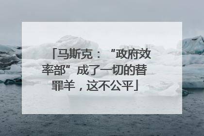 马斯克：“政府效率部”成了一切的替罪羊，这不公平