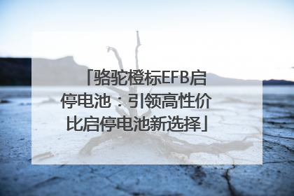 骆驼橙标EFB启停电池：引领高性价比启停电池新选择