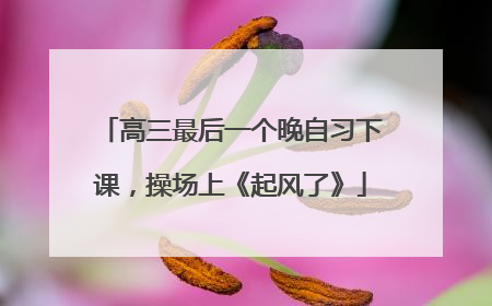 高三最后一个晚自习下课，操场上《起风了》