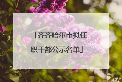 齐齐哈尔市拟任职干部公示名单