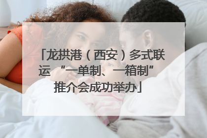 龙拱港（西安）多式联运 “一单制、一箱制” 推介会成功举办