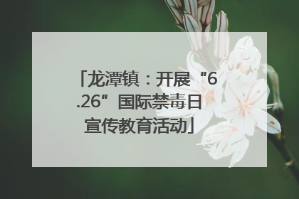 龙潭镇：开展“6.26”国际禁毒日宣传教育活动