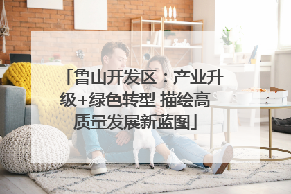 鲁山开发区：产业升级+绿色转型 描绘高质量发展新蓝图