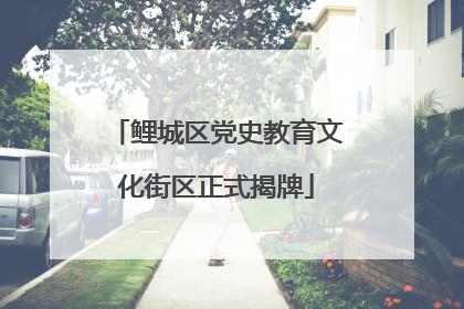 鲤城区党史教育文化街区正式揭牌