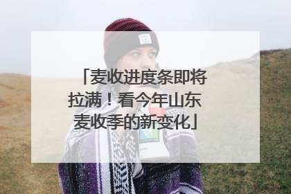 麦收进度条即将拉满！看今年山东麦收季的新变化