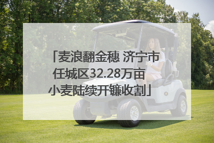麦浪翻金穗 济宁市任城区32.28万亩小麦陆续开镰收割