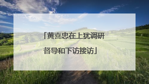 黄喜忠在上犹调研督导和下访接访