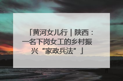 黄河女儿行｜陕西：一名下岗女工的乡村振兴“家政兵法”