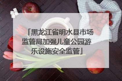 黑龙江省明水县市场监管局加强儿童公园游乐设施安全监管