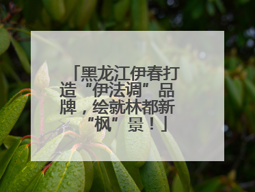 黑龙江伊春打造“伊法调”品牌，绘就林都新“枫”景！