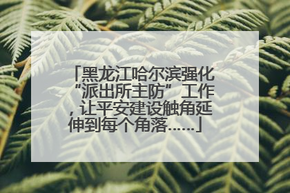 黑龙江哈尔滨强化“派出所主防”工作，让平安建设触角延伸到每个角落……