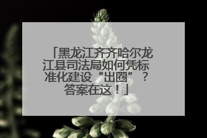黑龙江齐齐哈尔龙江县司法局如何凭标准化建设“出圈”？答案在这！