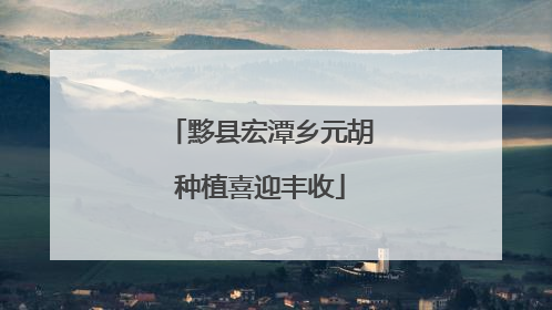黟县宏潭乡元胡种植喜迎丰收