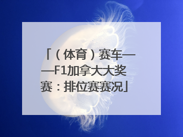 （体育）赛车——F1加拿大大奖赛：排位赛赛况