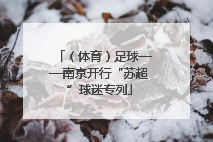 （体育）足球——南京开行“苏超”球迷专列