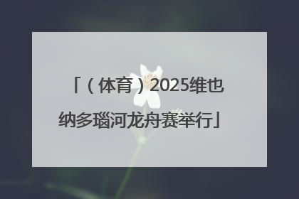 （体育）2025维也纳多瑙河龙舟赛举行