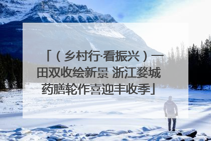 （乡村行·看振兴）一田双收绘新景 浙江婺城药膳轮作喜迎丰收季