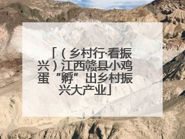 （乡村行·看振兴）江西赣县小鸡蛋“孵”出乡村振兴大产业