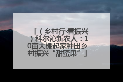 （乡村行·看振兴）科尔沁新农人：10亩大棚起家种出乡村振兴“甜蜜果”